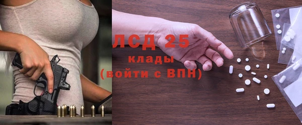хмурый Белокуриха