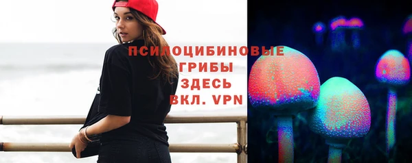 гидропоника Белоозёрский