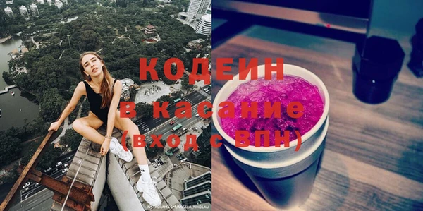 хмурый Белокуриха