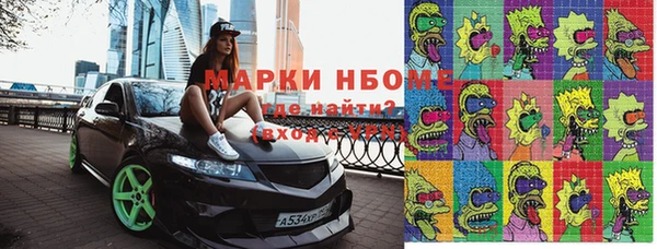 хмурый Белокуриха