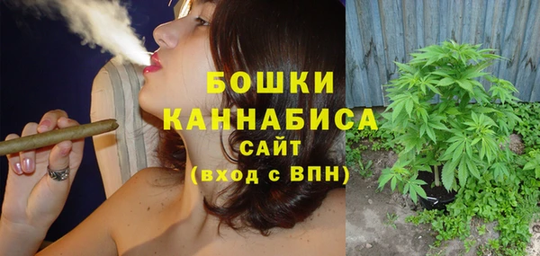 хмурый Белокуриха