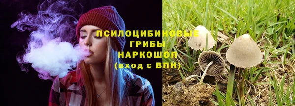 бошки Беломорск