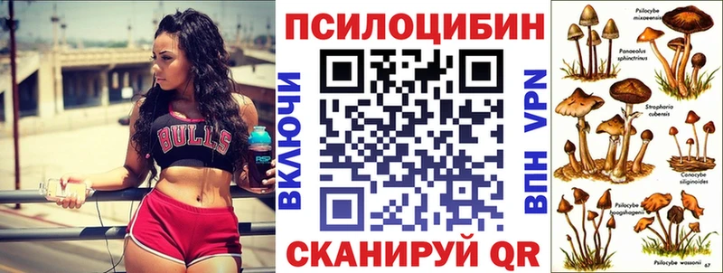 цена   Ельня  blacksprut вход  Псилоцибиновые грибы мицелий 